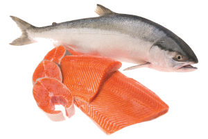 Salmon